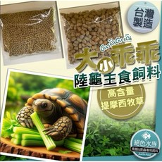 陸龜營養主食 台灣製造 大乖乖 小乖乖 陸龜飼料 蘇卡達 豹龜飼料 紅腿象龜飼料 高纖陸龜飼料, 1個, 陸龜營養主食/台製大乖乖,500克