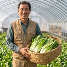 국내산 얼갈이 배추 2kg 4kg 싱싱하고 연한 단배추, 1박스