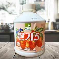 차그림 프리미엄 딸기5 850g, 1개