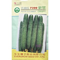 新翠小黃瓜種子 7399 早生 分枝性強, 1包