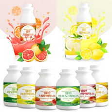 과일 농축액 베이스 1kg 자몽 청포도 레몬 자두 체리 배 시럽 원액 에이드 카페용품, 1개