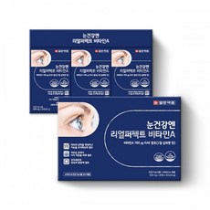 일양약품 눈 건강 엔 리얼퍼펙트 비타민A (2025년 최신리뉴얼), 2개, 90정
