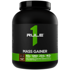 Rule1 룰원 매스게이너 초콜릿퍼지 2.6kg, 1개