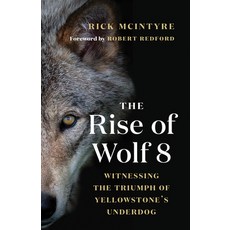 The Rise of Wolf 8: Witnessing the Triumph of Yellowstone's Underdog Paperback, Greystone Books