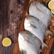 수락수산 급냉 병어(대)3미(750g~1kg내외), 1개