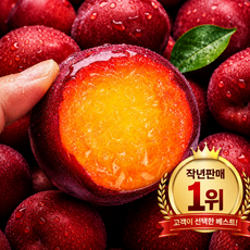 [작년판매1위] 산지직송 초고당도 노지 자두, 1박스, 2kg
