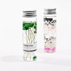 캔들나라 하바플라리움 하바리움 용기 50ml, 투명