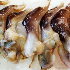 당일조업 새조개 여수 손질새조개 500g(상품) 내장제거 생산자직송, 1개