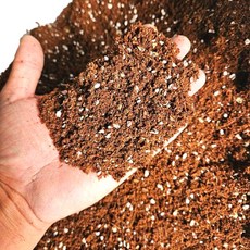 IN테리어 [ 50L ] 식물의기초 상토 분갈이 흙 텃밭 거름 비료 원예범용 배양토, 1개