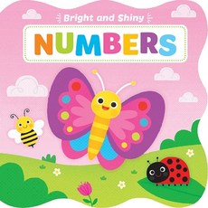 (영문도서) Bright & Shiny: Numbers Board Books, Rainstorm, English, 9781774021460