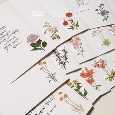 화원팩토리 캘리그라피 꽃 엽서 캘리용 인쇄엽서 20종, B