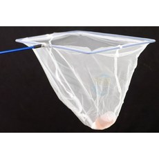 欣欣水族 BD81 優質撈魚網/藍抦10吋 不傷魚膚 "超商需折把手"下標代表同意不另行通知, 1個, "超商需折手把"下標代表同意不另行通知