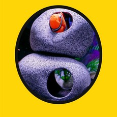 신명나는 어항 물고기 은신처 어항장식품은신처, 동글