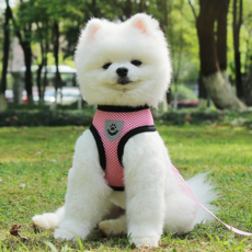 도그워크 앞섬방지 강아지 가슴줄, 핑크, 1개