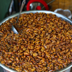 갓 삶아 냉동한 번데기 특품, 1개, 4kg