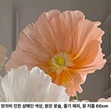졸업식 포토존 대형 축제, 딥 샴페인 포피 라이트 플라워 하트