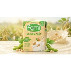 베트남 FAMI 코코넛향 두유 soymilk 비나밀크 vi sua dua, 36개, 200ml