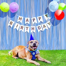 마카롱 컬러 파티 커튼, 본상품