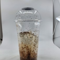 먹이용 작은흔적날개초파리 개구리 도마뱀 사마귀 200마리 안전포장, 1세트, 200ml