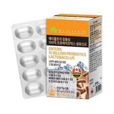 메이플트리 장용성 100억 프로바이오틱스 생유산균 500mg x 60캡슐, 1개, 1정
