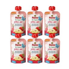 홀레 유기농 이유식(파우치) 애플엔트 6개세트, 사과 + 바나나 + 배, 100g