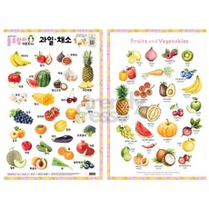넛츠샵 사운드 양면벽보 과일채소 코팅벽보