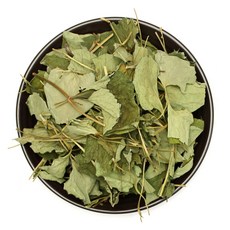 자연초 [자연초] 국산 건조 어성초 말린 약모밀 200g x 2개