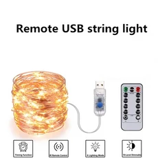 휴일 야외 구리 문자열 빛 원격 제어 타이밍 정원 요정 램프 파티 크리스마스 장식, Remote USB string, 5m 50led, Multicolor, 1개