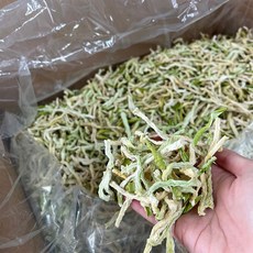 전북 고창 무말랭이 1kg, 1개