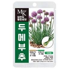 모칸도 좋은씨앗 두메부추 씨앗 100립 울릉도부추 잎줄기채소 야채 나물 씨앗, 1개