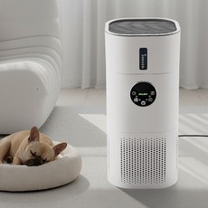 가정용 공기청정기 대용량 저소음 미세먼지 제거 공기청정기, 1개, APT-2 1개, APT-2