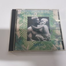 케니 로긴스 Leap Of Faith CD