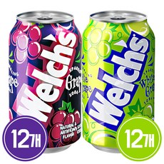 웰치스 포도 355ml x 12p + 웰치스 청포도 355ml x 12p, 2세트