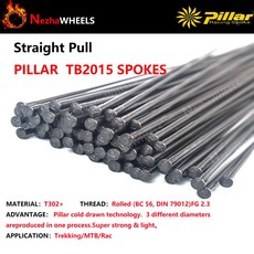 12Pcs 슈퍼 라이트 기둥 PSR TB2015 자전거 스포크 14G 라운드 스트레이트, 280mm