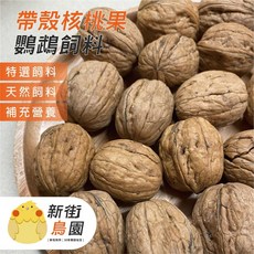 新街鳥園 帶殼核桃果 中大型鸚鵡特選飼料 營養補充零食 200g, 1個