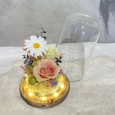 精緻乾燥花玻璃罩夜燈 浪漫永生花居家裝飾擺件 溫馨禮品, 橘黃