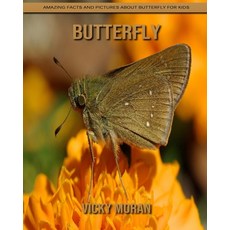 Butterfly: Amazing Facts and Pictures about Butterfly for Kids Paperback, Independently Published