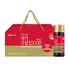 보고 메가산삼10000 선물용케이스 산삼배양근 음료 피로회복 활력에너지 홍삼 건강음료, 100ml, 10개
