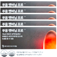 푸응 팻버닝 프로 642mg x 30캡슐 x 5박스 50일분, 30정