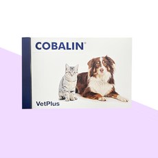 벳플러스 코발린 60 캡슐, 60정, 종합영양제, 1개