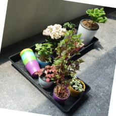 식물트레이 직사각 모종 모판 받침판 트레이, 본상품