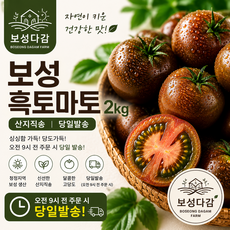 [보성다감] 보성 당도 가득 흑토마토 2kg 산지직송 싱싱함 선물용/가정용 모두 OK(6월11일 판매종료) [6월5일~6월7일 주말 연휴 발송안됨], 1개