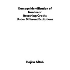 (영문도서) Damage Identification of Nonlinear Breathing Cracks Under Different Excitations Paperback, Self Publish, English, 9787585283851