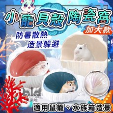 【現貨!降溫大空間x造景】倉鼠陶瓷窩 (貝殼款) 造景倉鼠屋 陶瓷涼窩, 1個, 碧水藍色款/貝殼,plus+XL巨大號款(大空間)