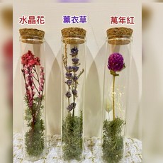 Sally 瓶中花 乾燥永生花 玻璃瓶裝 告白求婚畢業禮物, 紫色滿天星,都不加購