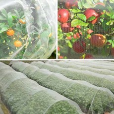 開心農場 隧道式防蟲網 抗撕裂聚乙烯農業防蟲網 防鳥 細密網 蚊子花園害蟲昆蟲屏障鳥網植物保護網眼防蟲網, 1個