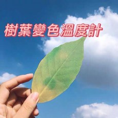 溫度變色書籤, 1個, 小片葉8片裝
