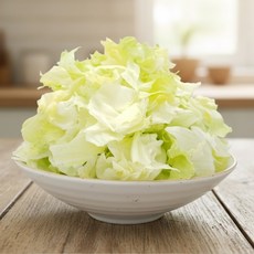 의령농산 국내산 100% 양상추컷 샐러드 800g, 1개