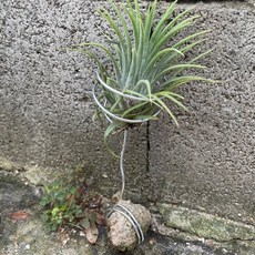 시스제이 원예 공예 분재용 알루미늄 철사 2.0mm