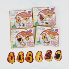 곤충화석 발굴체험 교육완구 과학탐구 학습도구 어린이 체험학습 곤충표본 발굴놀이, 1개